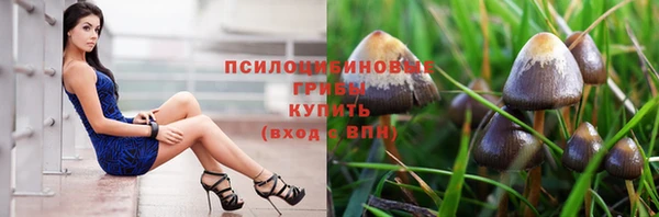 мяу мяу кристалл Алексин