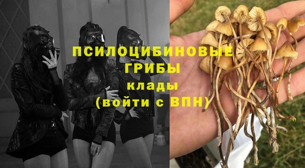 Альфа ПВП Кинешма